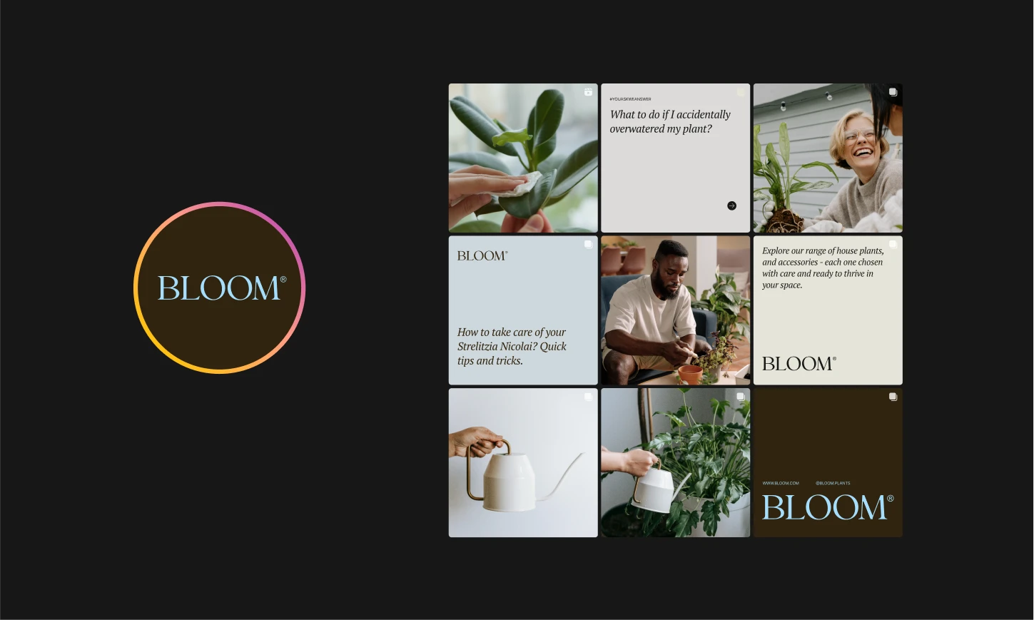 Projekt postów / feed na instagram dla marki Bloom